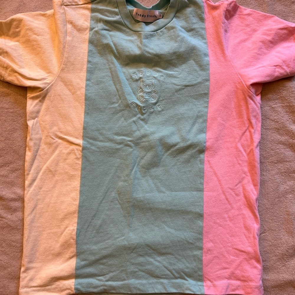 Teddy Fresh Colorblock Tee in Blue, Pink, and Cream - Picture 7 of 12